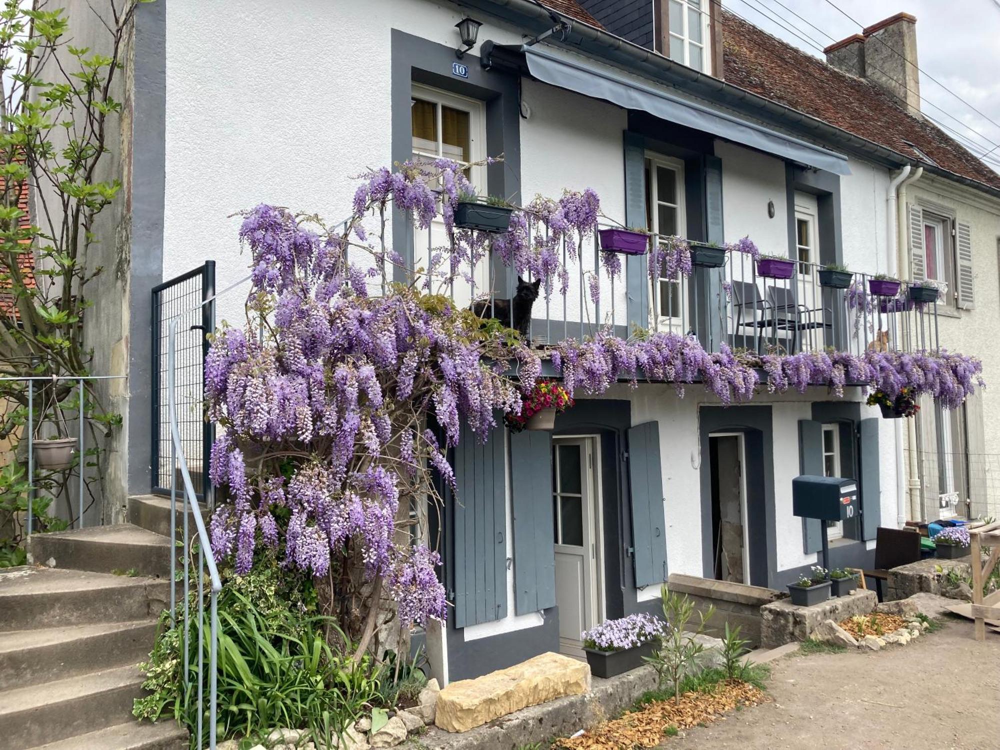 Le Lodge De Serenite Cuffy Exterior photo